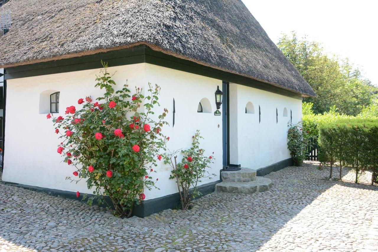Foehrienhaus Villa Midlum  Buitenkant foto